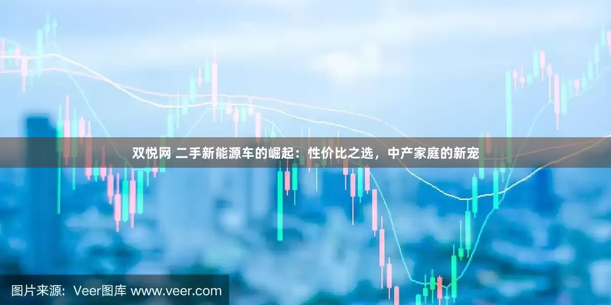 双悦网 二手新能源车的崛起：性价比之选，中产家庭的新宠