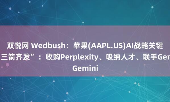 双悦网 Wedbush：苹果(AAPL.US)AI战略关键需“三箭齐发” ：收购Perplexity、吸纳人才、联手Gemini